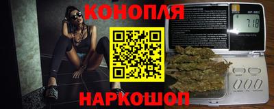стаф Будённовск