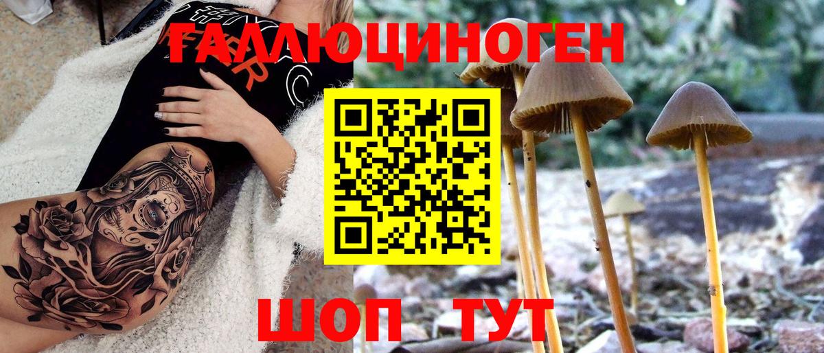 Псилоцибиновые грибы Cubensis Назрань