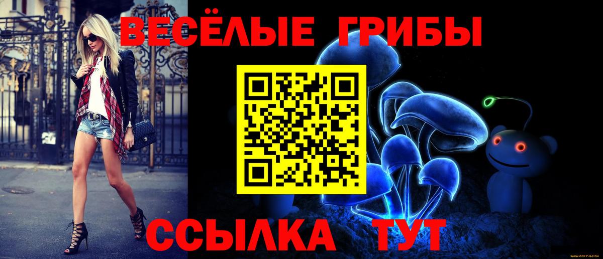цена   Псилоцибиновые грибы прущие грибы  Вход с VPN  Назрань  Псилоцибиновые грибы ЛСД 